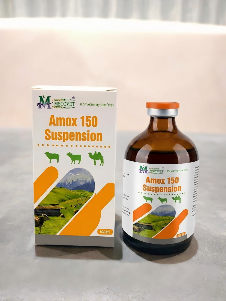 AMOXICILLIN 15% SUSPENSION