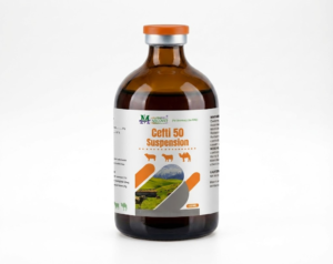 100ml Ceti 50 Suspension veterinary injection bottle