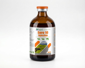 100ml Enro 10 veterinary injection bottle for livestock bacterial infection treatment