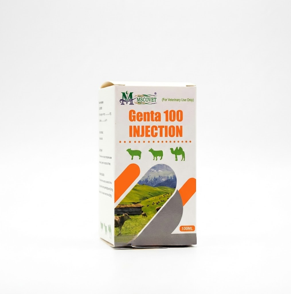 Genta 100 Injection veterinary pharmaceutical packaging box