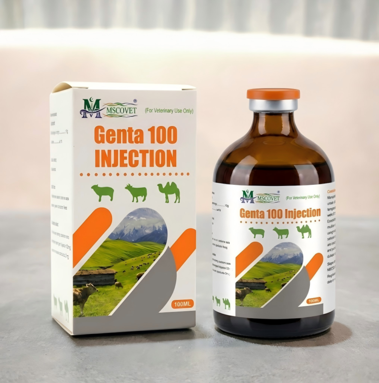 genta 100 INJECTION