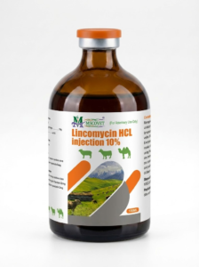 100ml Lincomycin HCL Injection 10% veterinary antibiotic bottle for livestock infection treatment