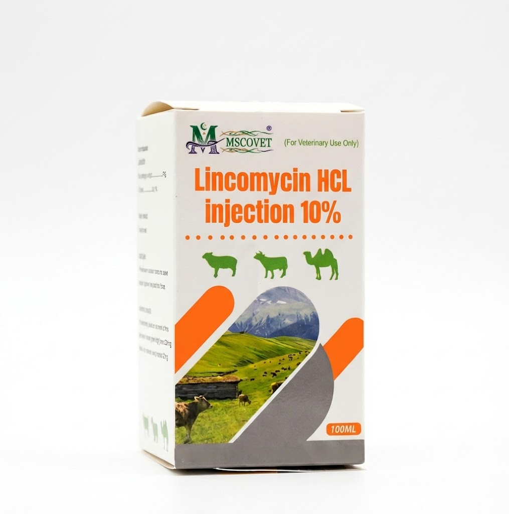 Lincomycin HCL Injection 10% veterinary pharmaceutical packaging box
