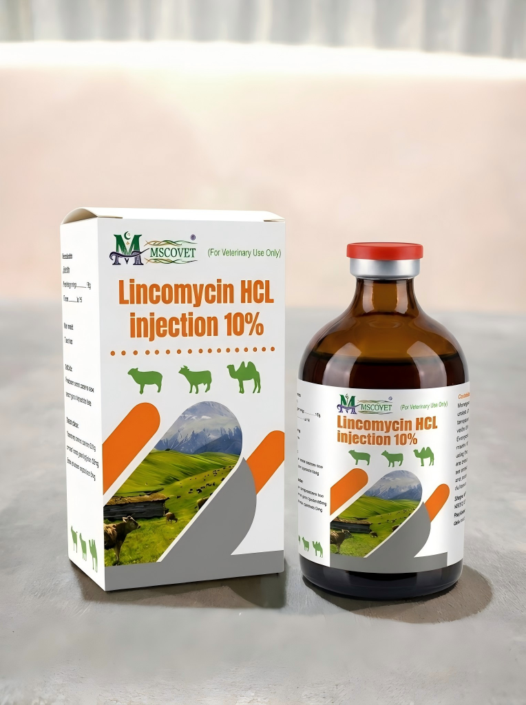 Lincomycin HCL Injection 10%