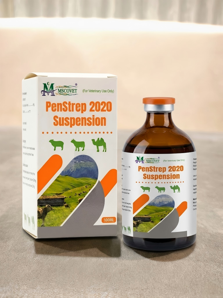 penstrep 2020 suspension
