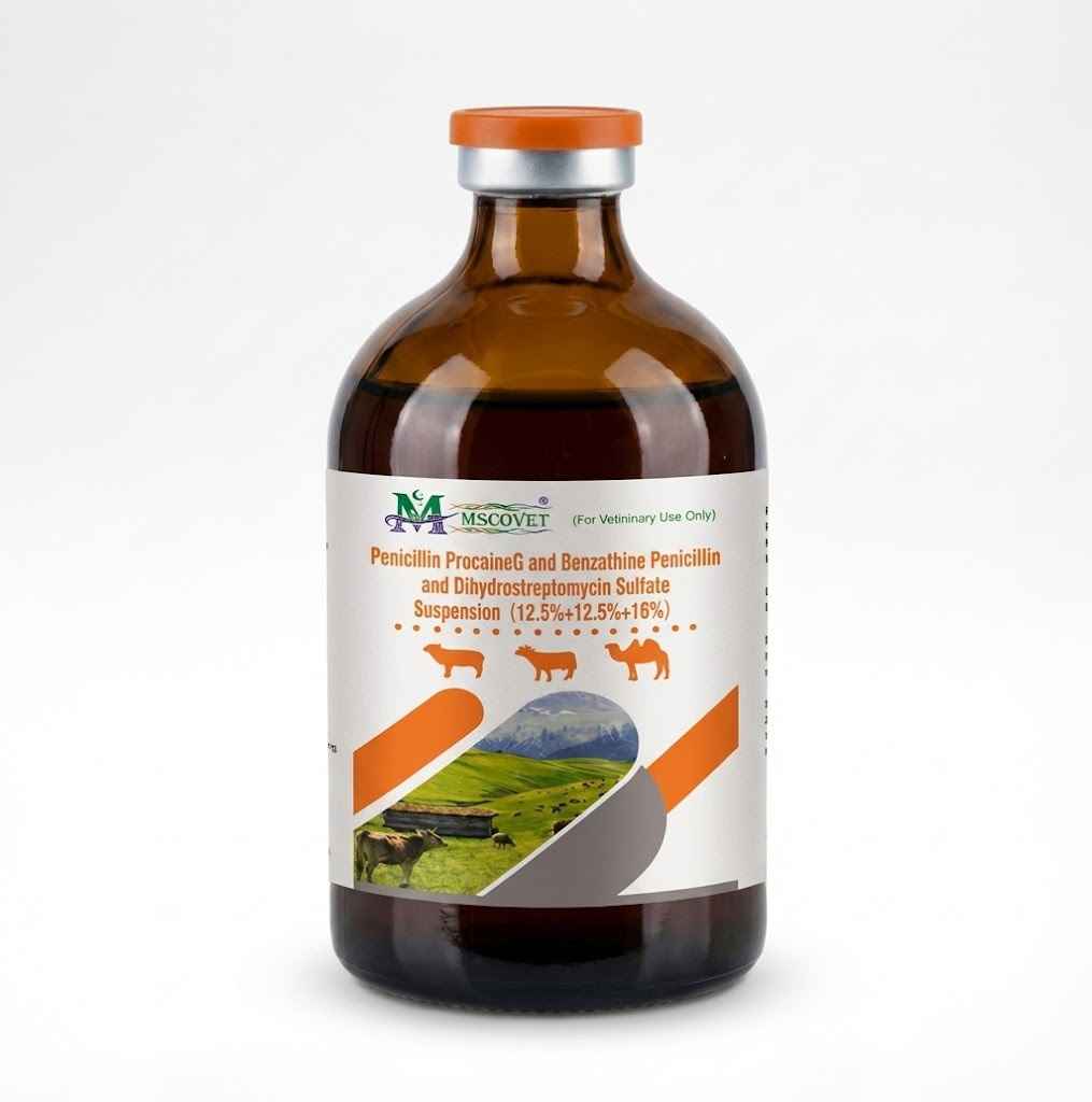 Penicillin Procaine G and Benzathine Penicillin with Dihydrostreptomycin Sulfate Suspension veterinary injection bottle for livestock bacterial infection treatment