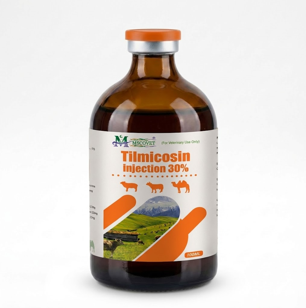 Tilmicosin Injection 30% veterinary antibiotic injection bottle for livestock respiratory infection treatment