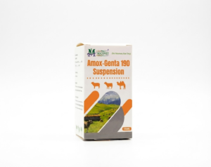 MSCOVET Amox-Genta 190 Suspension veterinary injectable antibiotic bottle for livestock animals 100ml