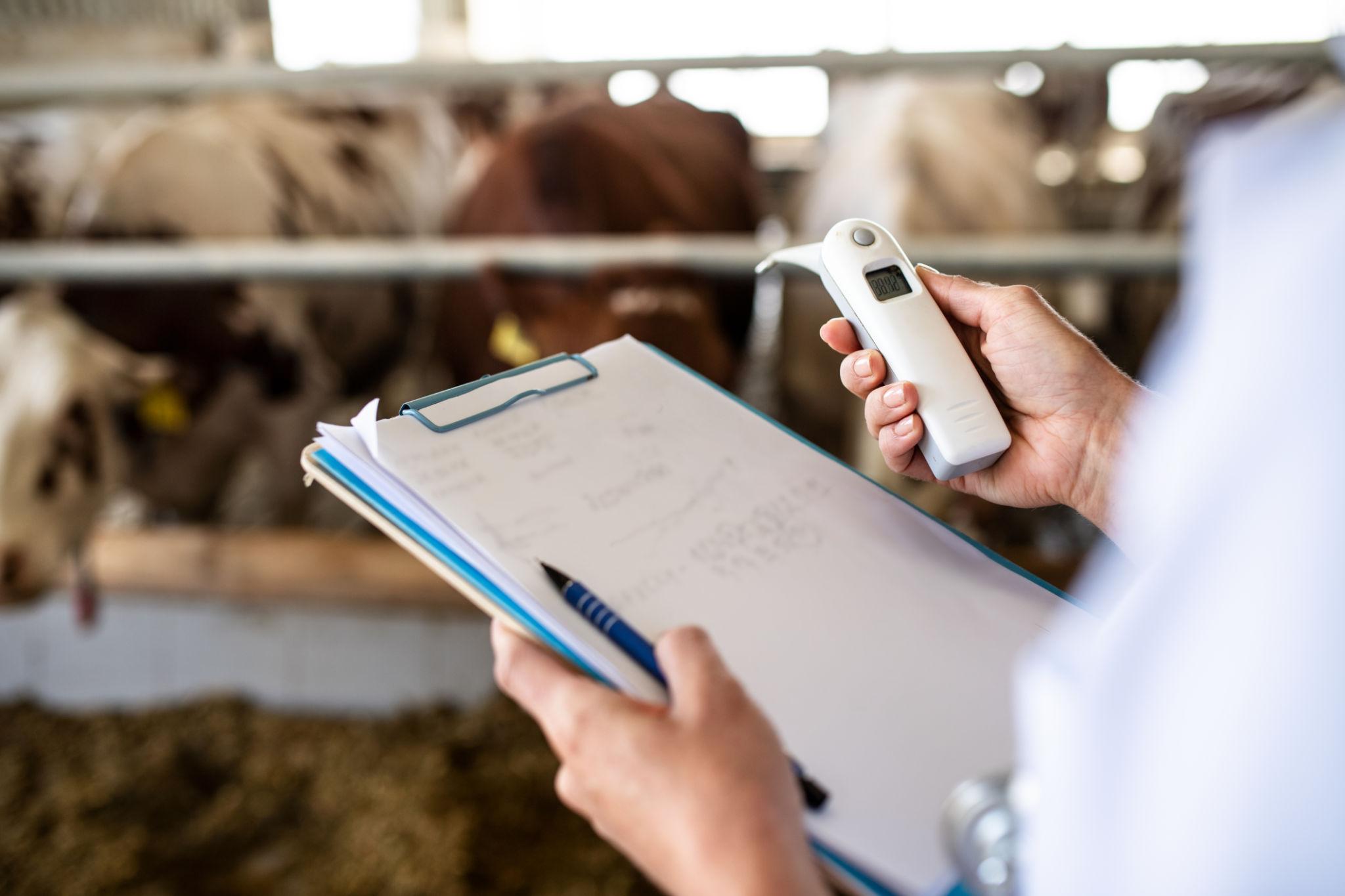 IMAGE PLACEHOLDER — veterinarian checking veterinary medicine storage conditions inside a livestock pharmacy in Africa